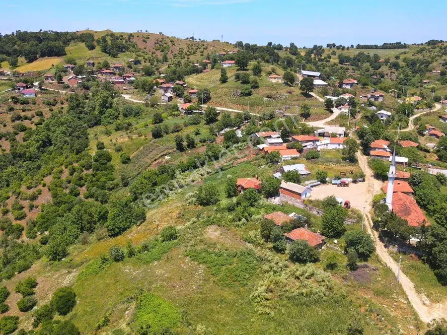 Asmalı