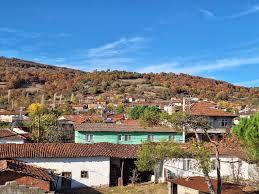 Araovacık